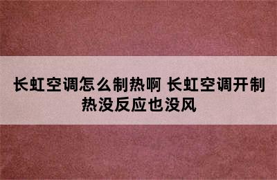 长虹空调怎么制热啊 长虹空调开制热没反应也没风